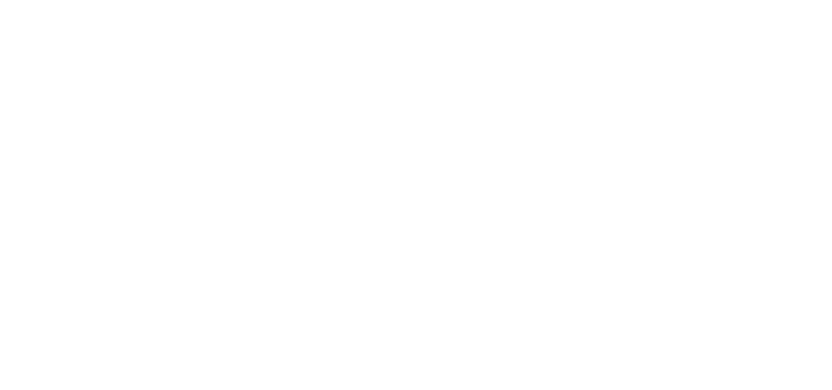 Raize Digital 4